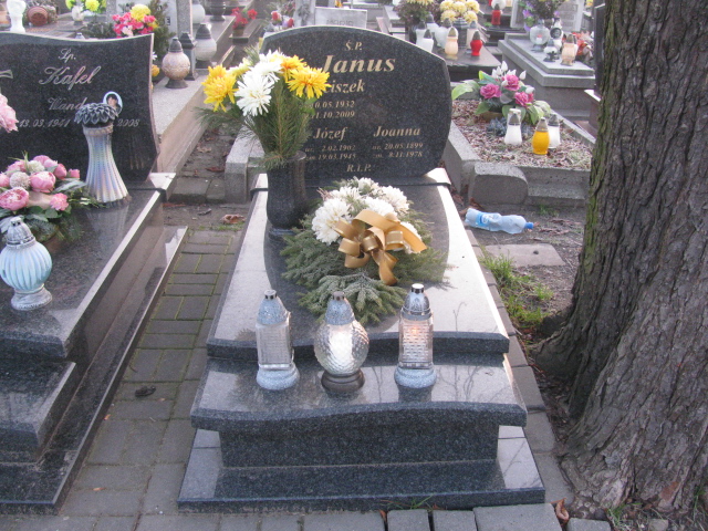 Grób Józef Janus