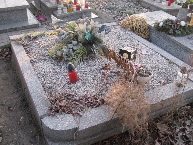  Żydek  Ruda Śląska Kochłowice - Grobonet - Wyszukiwarka osób pochowanych