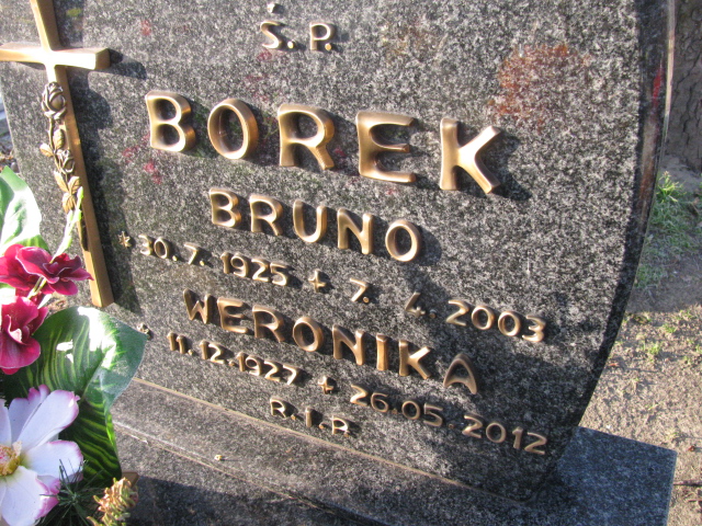 Ludwik Korzekwa 1941 Ruda Śląska Kochłowice - Grobonet - Wyszukiwarka osób pochowanych