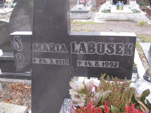 Henryk Malina 1895 Ruda Śląska Kochłowice - Grobonet - Wyszukiwarka osób pochowanych